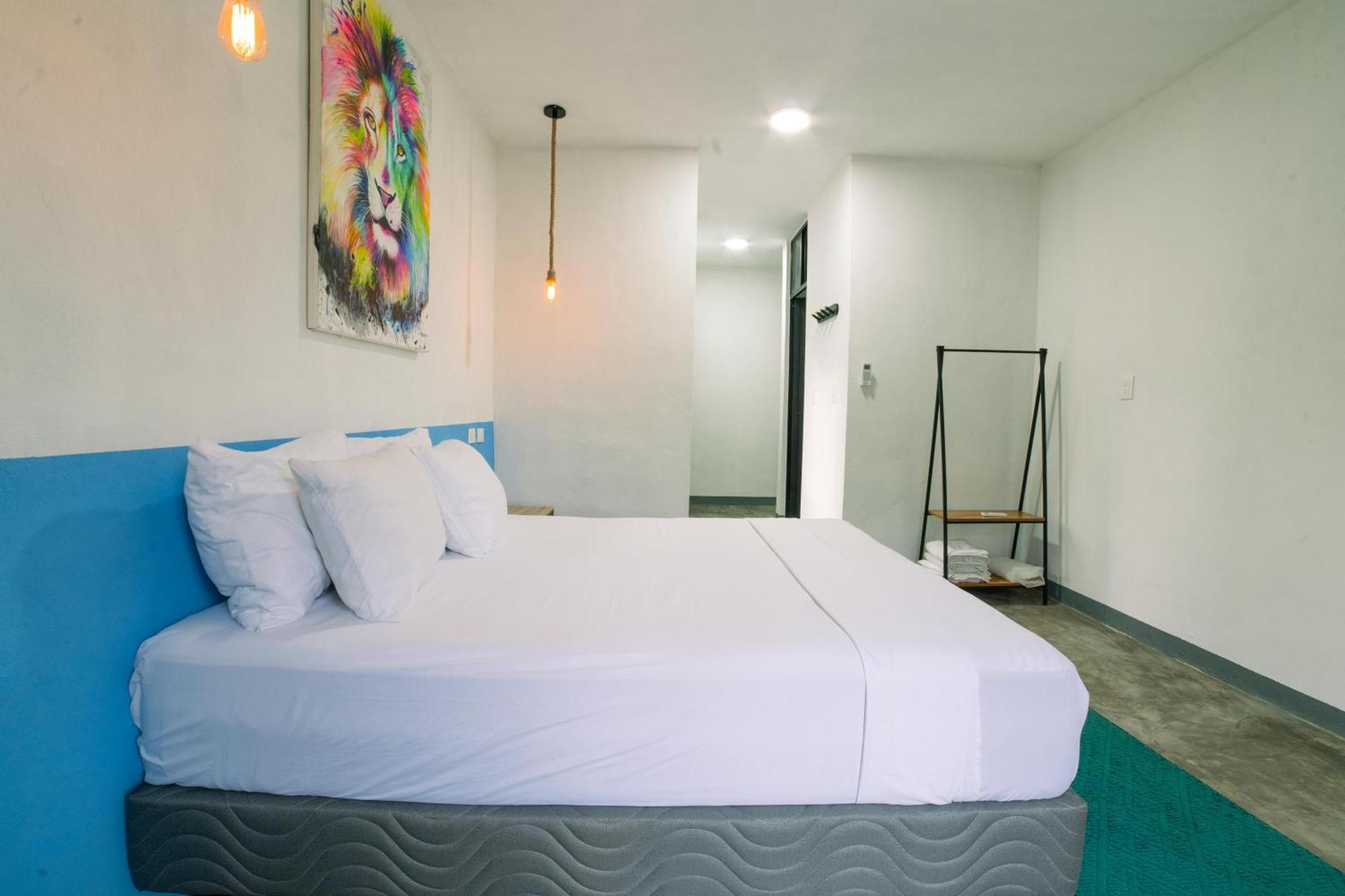 New Friends Hostel & Bar Adults Only 巴利亚多利德 外观 照片